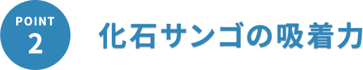 化石サンゴの吸着力